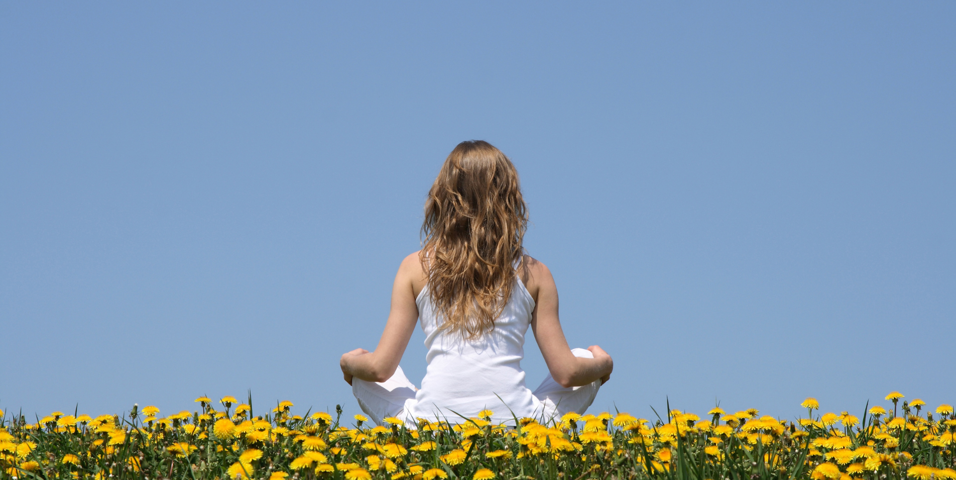 La Mindfulness